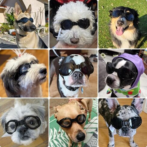Petleso Dog Goggles Medium Breed, Dog Sunglasses for Medium Dogs Eye Protection Windproof, Black in Kuwait