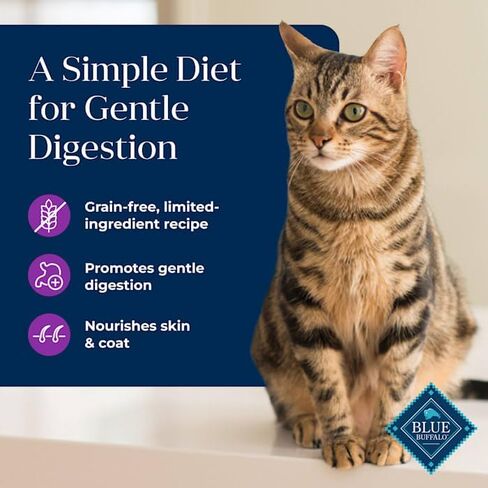 Blue Buffalo Basics Skin & Stomach Care, Grain Free Natural Adult Pate Wet Cat Food, Indoor Turkey 5.5-oz cans (Pack of 24) in Saudi Arabia