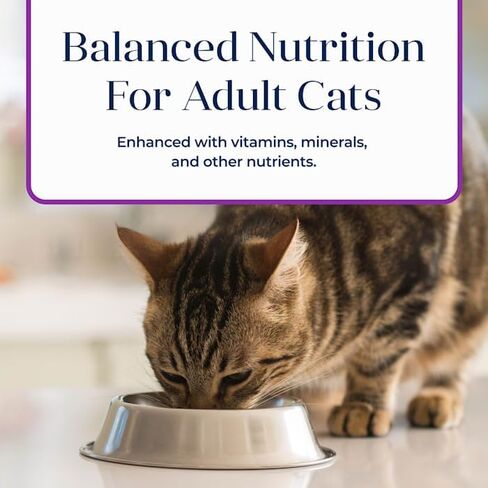 Blue Buffalo Basics Skin & Stomach Care, Grain Free Natural Adult Pate Wet Cat Food, Indoor Turkey 5.5-oz cans (Pack of 24) in Saudi Arabia