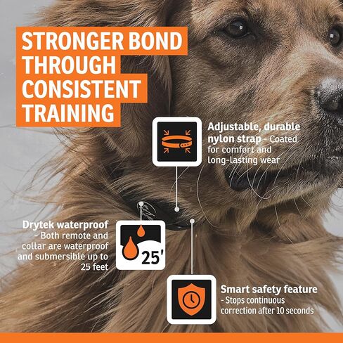 مدربين عن بعد من العلامة التجارية SportDOG YardTrainer Family - أطواق تدريب الكلاب قابلة لإعادة الشحن ومقاومة للماء مع خاصية الاهتزاز والاهتزاز والنغمة، نطاق 100 ياردة - كلب عنيد - YT-100S، رمادي in Kuwait