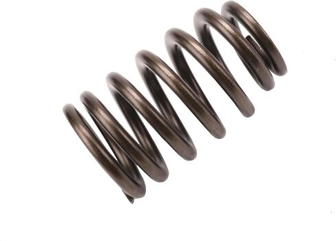GM Genuine Parts 12686721 Valve Spring in Saudi Arabia