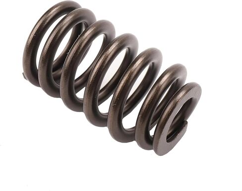 GM Genuine Parts 12686721 Valve Spring in Saudi Arabia