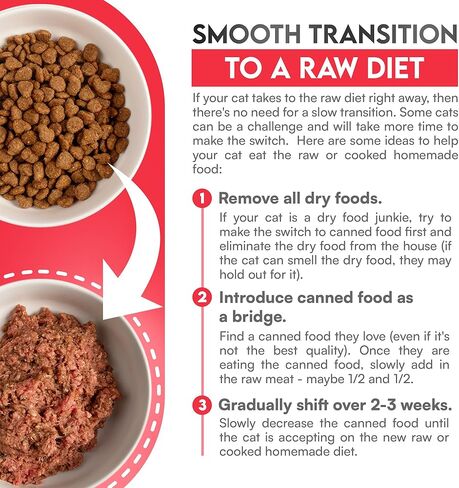 Know Better for Cats – Chicken Recipe, RAW Cat Food Premix/Supplement for Making Homemade Cat Food, All Natural, Holistic Veterinarian Approved, Grain Free, No Artificial Additives in Saudi Arabia