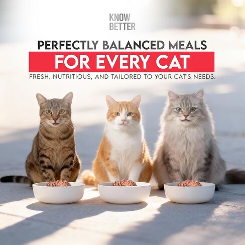 Know Better for Cats – Chicken Recipe, RAW Cat Food Premix/Supplement for Making Homemade Cat Food, All Natural, Holistic Veterinarian Approved, Grain Free, No Artificial Additives in Saudi Arabia