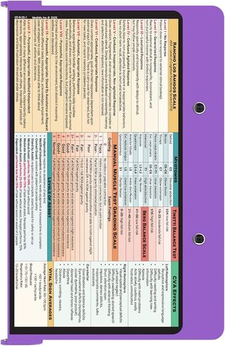 Whitecoat Clipboard® - Mint Occupational Therapy Edition in Kuwait