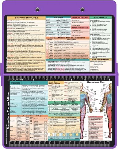 Whitecoat Clipboard® - Mint Occupational Therapy Edition in Kuwait