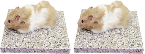 Hamster Chiller Cool Granite Stone Small Animal Supplies,3.5 x 3.5 inch in Saudi Arabia