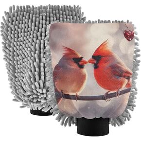 AIXIWAWA Valentine Birds Print Car Wash Mitt Washing Glove Scratch Free Water Absorbent 2 Pack Medium in Kuwait