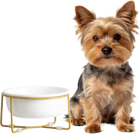 Small Glass Tilted Elevated Cat Dog Bowl Raised Cat Food Water Bowl Dish Pet Comfort Feeding Bowls with Gold Iron Stand in Kuwait