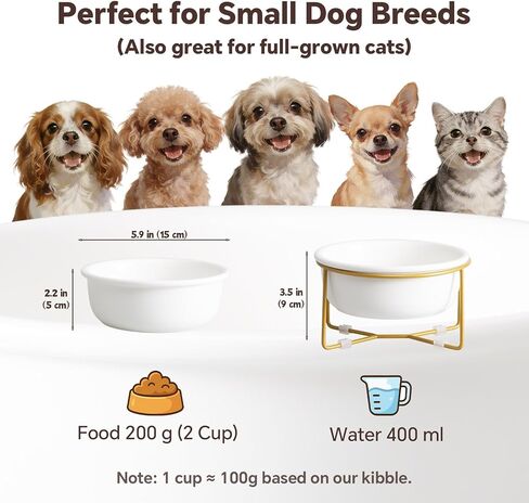 Small Glass Tilted Elevated Cat Dog Bowl Raised Cat Food Water Bowl Dish Pet Comfort Feeding Bowls with Gold Iron Stand in Kuwait