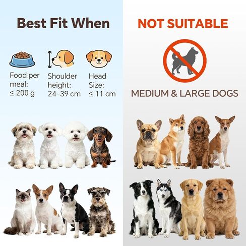 Small Glass Tilted Elevated Cat Dog Bowl Raised Cat Food Water Bowl Dish Pet Comfort Feeding Bowls with Gold Iron Stand in Kuwait