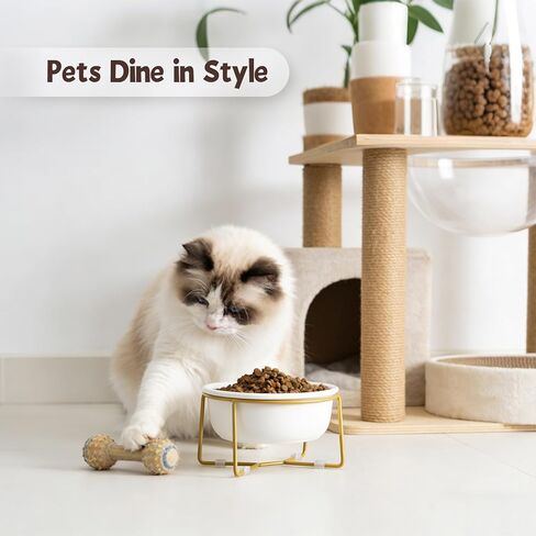 Small Glass Tilted Elevated Cat Dog Bowl Raised Cat Food Water Bowl Dish Pet Comfort Feeding Bowls with Gold Iron Stand in Kuwait
