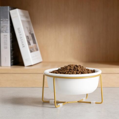 Small Glass Tilted Elevated Cat Dog Bowl Raised Cat Food Water Bowl Dish Pet Comfort Feeding Bowls with Gold Iron Stand in Kuwait
