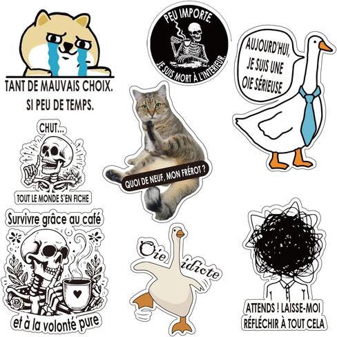 French Inspirational Stickers for Teens Adults Kids Teachers | French Quote Stickers | Positive Language Stickers for Planner,Journaling Scrapbook,Water Bottles, Laptop | 51pcs in Kuwait