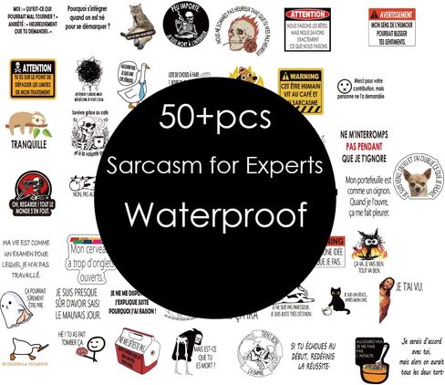 French Inspirational Stickers for Teens Adults Kids Teachers | French Quote Stickers | Positive Language Stickers for Planner,Journaling Scrapbook,Water Bottles, Laptop | 51pcs in Kuwait