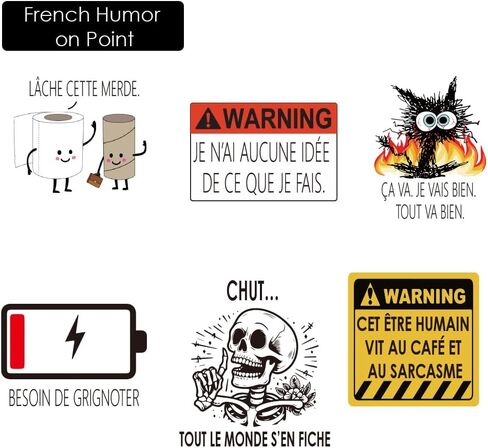 French Inspirational Stickers for Teens Adults Kids Teachers | French Quote Stickers | Positive Language Stickers for Planner,Journaling Scrapbook,Water Bottles, Laptop | 51pcs in Kuwait