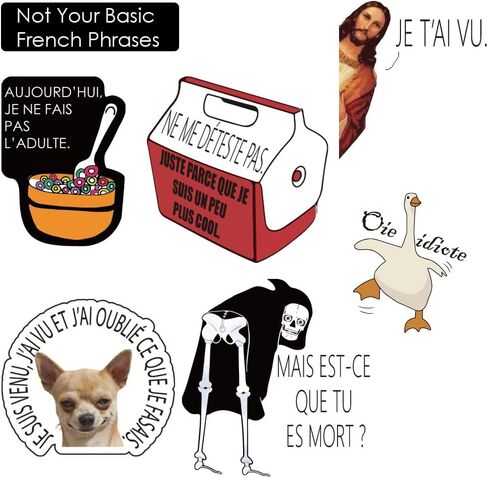 French Inspirational Stickers for Teens Adults Kids Teachers | French Quote Stickers | Positive Language Stickers for Planner,Journaling Scrapbook,Water Bottles, Laptop | 51pcs in Kuwait