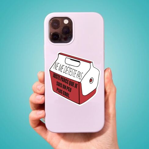 French Inspirational Stickers for Teens Adults Kids Teachers | French Quote Stickers | Positive Language Stickers for Planner,Journaling Scrapbook,Water Bottles, Laptop | 51pcs in Kuwait