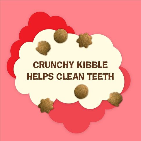 Purina Friskies Natural Cat Treats, Party Mix Natural Yums With Real Salmon and Vitamins, Minerals & Nutrients - (10) 2.1 oz. Pouches in Saudi Arabia