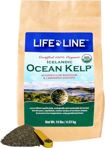Life Line Pet Nutrition، مكمل عشب البحر العضوي للبشرة والمعطف، الهضم في الكلاب والقطط، 8 أونصة (20200) in Kuwait