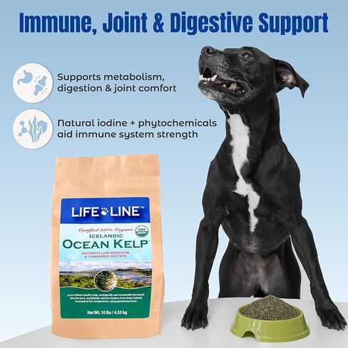 Life Line Pet Nutrition، مكمل عشب البحر العضوي للبشرة والمعطف، الهضم في الكلاب والقطط، 8 أونصة (20200) in Kuwait