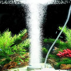 hygger Aquarium Air Stone Fish Tank Bubbler Quiet Ultra High Dissolved Oxygen Stone Fish Tank Air Stone Nano Bubble Airstone Stainless Steel Air Stones for Aquarium Fish Tank and Hydroponics-3.0inch in Kuwait