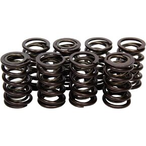 Isky Racing Cams 7005-8 Valve Spring