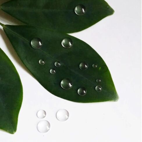 Clear Dewdrop Water Droplets Embellishments Scrapbooking Embellishments for DIY Crafts Card Making Decor, Nail Enhancement Handicraft in Saudi Arabia