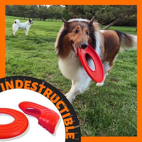 ROBLOCK 1 زوج الكلب الطائر القرص لعبة لينة المياه العائمة التفاعلية للكلاب الصغيرة والمتوسطة والكبيرة الرياضة في الهواء الطلق in Kuwait