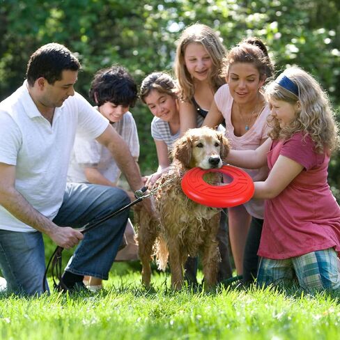 ROBLOCK 1 زوج الكلب الطائر القرص لعبة لينة المياه العائمة التفاعلية للكلاب الصغيرة والمتوسطة والكبيرة الرياضة في الهواء الطلق in Kuwait