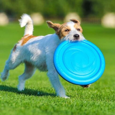 Dog Frisbee Toy Safe for Teeth - Outdoor Floating Flying Disk for Small, Medium and Large Breed Dogs - Lightweight Dog Ring Toy - Dog Catch and Fetch Toy - Outside Dog Yard Toys (Blue) in Saudi Arabia