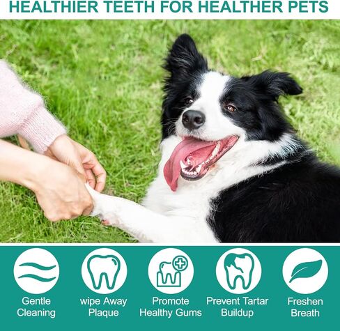 HIQBON Pet Teeth Cleaning Wipes for Dogs & Cats - Reduces Plaque, Tartar & Dog Breath Freshener, Dog Grooming Teeth Wipes, Dog Tooth Brushing Kit & Dog Dental Wipes, Dog Teeth Wipes, 50 Pcs in Saudi Arabia