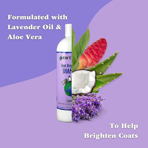 شامبو تفتيح معطف إيرثباث للكلاب والقطط - يعزز اللون واللمعان في جميع المعاطف، صنع في الولايات المتحدة الأمريكية - لافندر، 16 أونصة in Kuwait