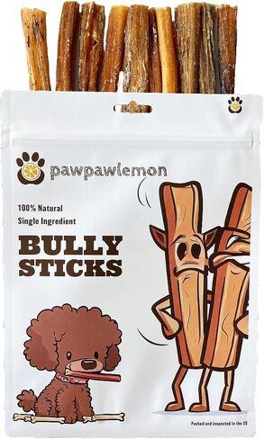 pawpawlemon Jumbo Organic Beef Pizzle Bully Stick Dog Chew (6 inch Pack of 3) | Jumbo Thickness for Large Dogs in Saudi Arabia