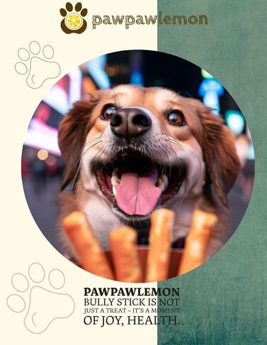 pawpawlemon Jumbo Organic Beef Pizzle Bully Stick Dog Chew (6 inch Pack of 3) | Jumbo Thickness for Large Dogs in Saudi Arabia