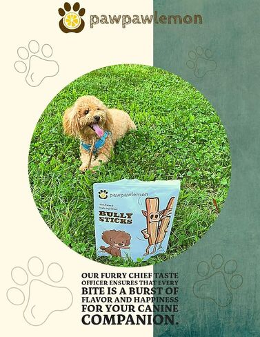 pawpawlemon Jumbo Organic Beef Pizzle Bully Stick Dog Chew (6 inch Pack of 3) | Jumbo Thickness for Large Dogs in Saudi Arabia