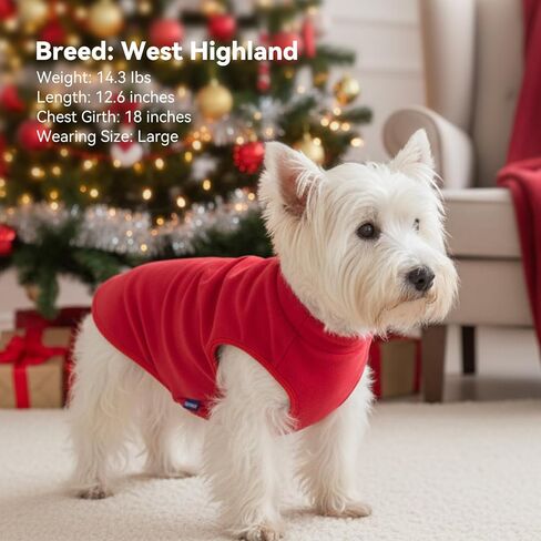 cyeollo 2 Pack Fleece Dog Sweater Stretchy Pullover Soft Dog Jacket with Reflective Stripe Lightweight Sweatshirt Pet Clothes Coats for Small Dogs Grey & Blue in Kuwait