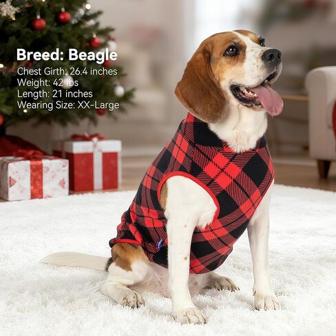 cyeollo 2 Pack Fleece Dog Sweater Stretchy Pullover Soft Dog Jacket with Reflective Stripe Lightweight Sweatshirt Pet Clothes Coats for Small Dogs Grey & Blue in Kuwait