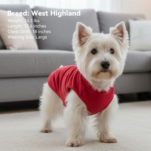 cyeollo 2 Pack Fleece Dog Sweater Stretchy Pullover Soft Dog Jacket with Reflective Stripe Lightweight Sweatshirt Pet Clothes Coats for Small Dogs Grey & Blue in Kuwait