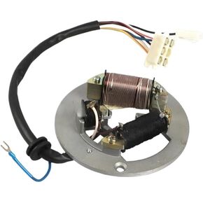 Ignition Coil Stator Coil Ignition Magneto Flywheel Rotor Stator Plate Coil for PW80 Magneto Stator Coil Ignition Generator Engine Magneto Coil in Saudi Arabia