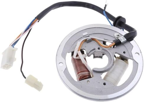 Ignition Coil Stator Coil for PW80 Magneto Stator Ignition Generator 2 Poles Coils Ignition Stator Magneto Coil Magneto Stator Plate Gnition Coil in Saudi Arabia