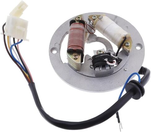 Ignition Coil Stator Coil for PW80 Magneto Stator Ignition Generator 2 Poles Coils Ignition Stator Magneto Coil Magneto Stator Plate Gnition Coil in Saudi Arabia