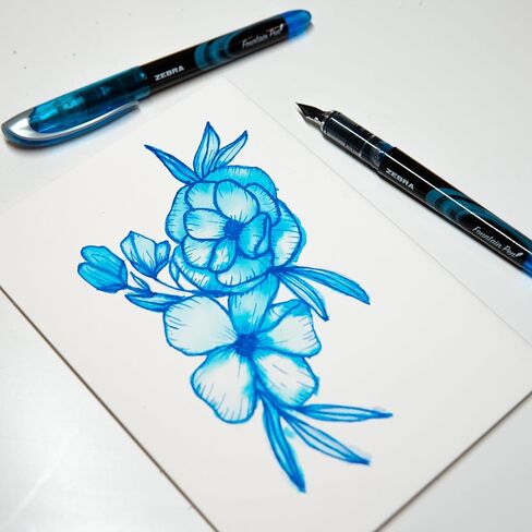 Zebra Pen Fountain Pen Set, Fine Point 0.6mm, Black Non-Toxic Ink, Stainless Steel Nib, Disposable, 2-Pack (48312) in Kuwait