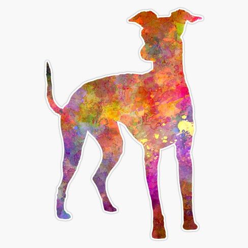 MAGNET Italian Greyhound In Watercolor Vinyl Waterproof Magnetic Sticker Vinyl Waterproof Magnet Decal Car 5" in Saudi Arabia