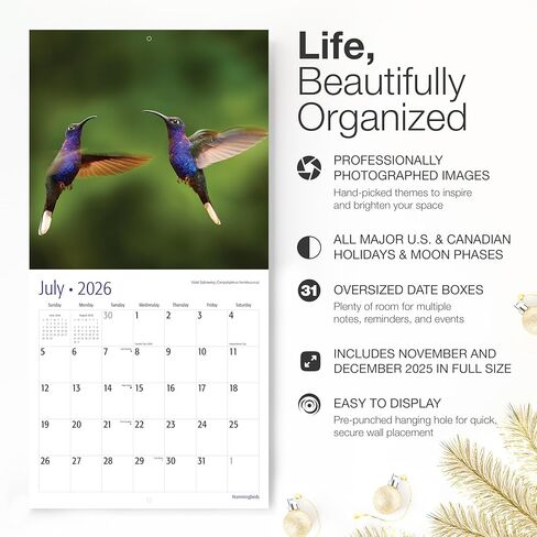 RED EMBER Hummingbirds 2026 Wall Calendar 12 Month | 12" x 24" Open | Thick & Sturdy Paper | Holiday Gift | Bird Calendar 2026 in Saudi Arabia