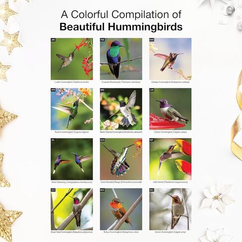 RED EMBER Hummingbirds 2026 Wall Calendar 12 Month | 12" x 24" Open | Thick & Sturdy Paper | Holiday Gift | Bird Calendar 2026 in Saudi Arabia