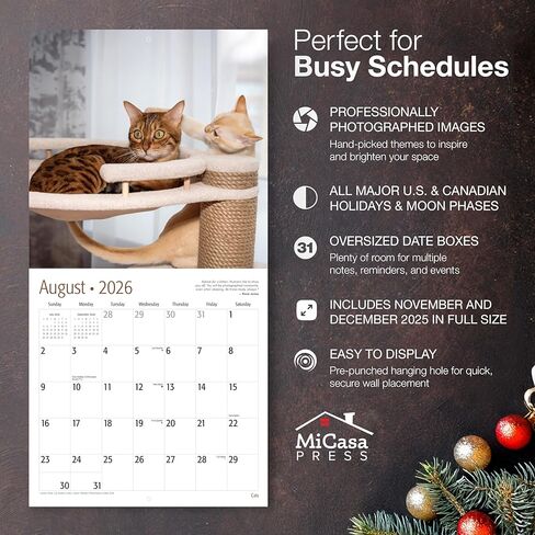 MICASA Black Cats 2024 Hangable Monthly Wall Calendar | 12" x 24" Open | Thick & Sturdy Paper | Giftable | Cute Kitten | Marvelous & Mysterious Kitties in Kuwait