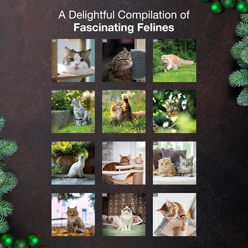 MICASA Black Cats 2024 Hangable Monthly Wall Calendar | 12" x 24" Open | Thick & Sturdy Paper | Giftable | Cute Kitten | Marvelous & Mysterious Kitties in Kuwait