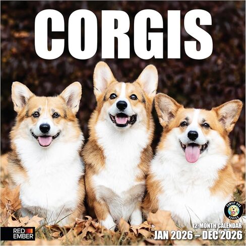 RED EMBER Corgis 2026 Wall Calendar 12 Month | 12" x 24" Open | Thick & Sturdy Paper | Holiday Gift | Cute Puppy Dog Calendar 2026 in Saudi Arabia