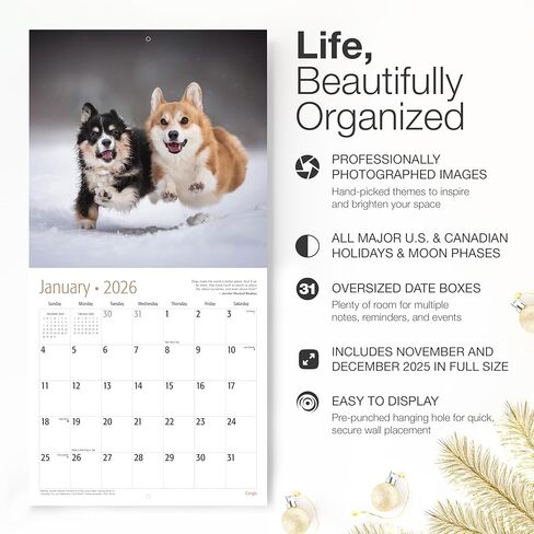 RED EMBER Corgis 2026 Wall Calendar 12 Month | 12" x 24" Open | Thick & Sturdy Paper | Holiday Gift | Cute Puppy Dog Calendar 2026 in Saudi Arabia